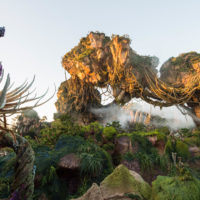 Pandora - The World Of Avatar