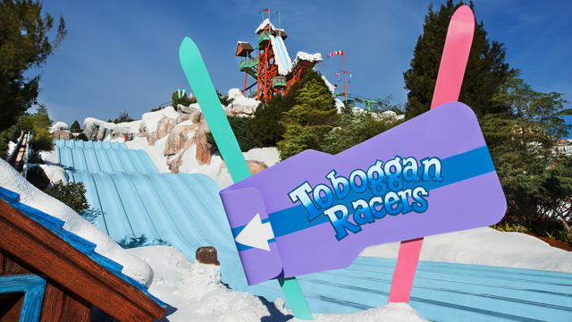 Disney’s Blizzard Beach