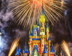 Happily Ever After at Magic Kingdom Park
