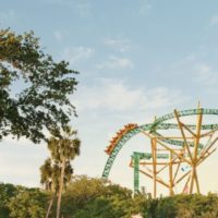 Busch Gardens Tampa