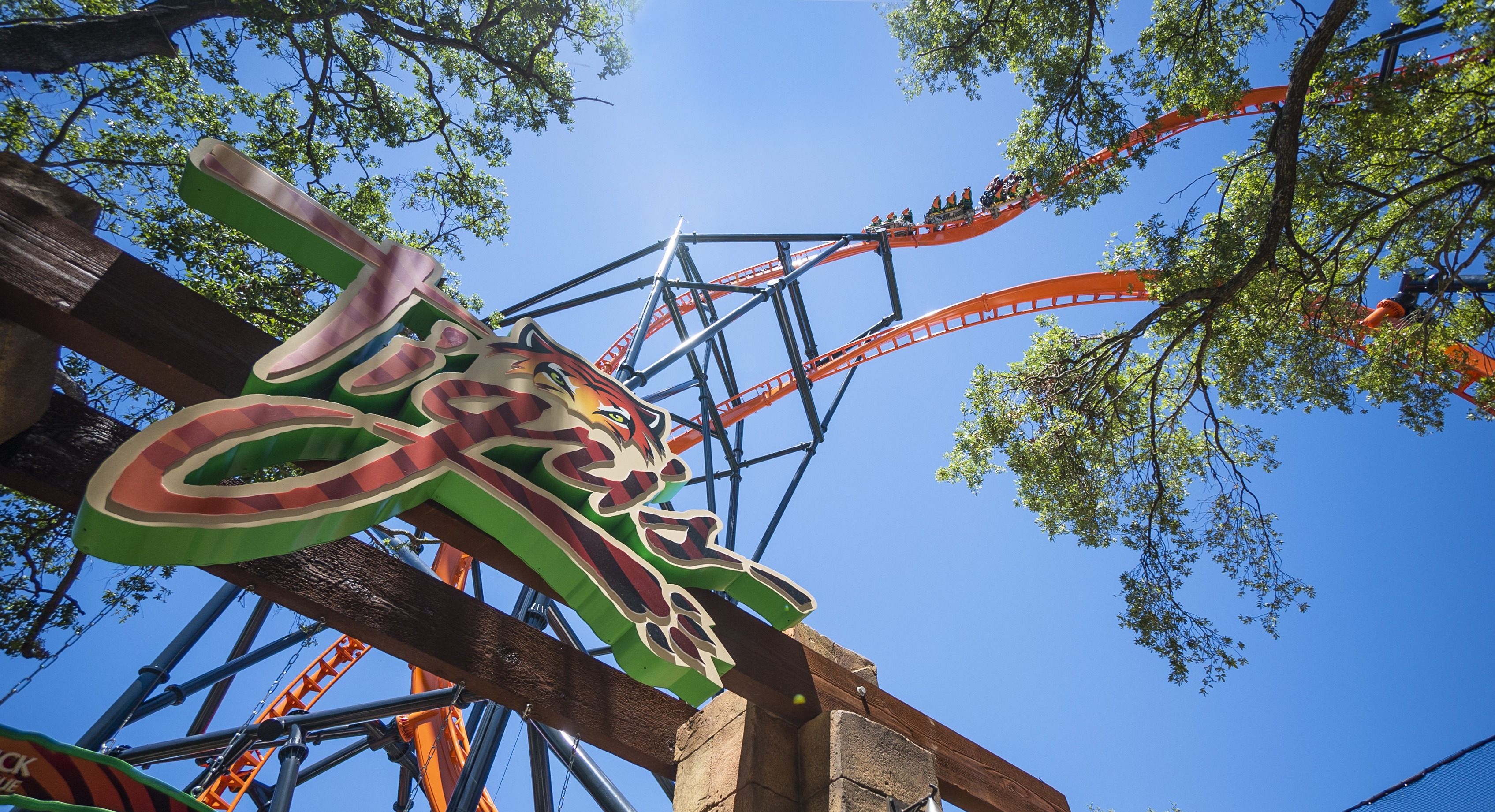 Tigris Busch Gardens