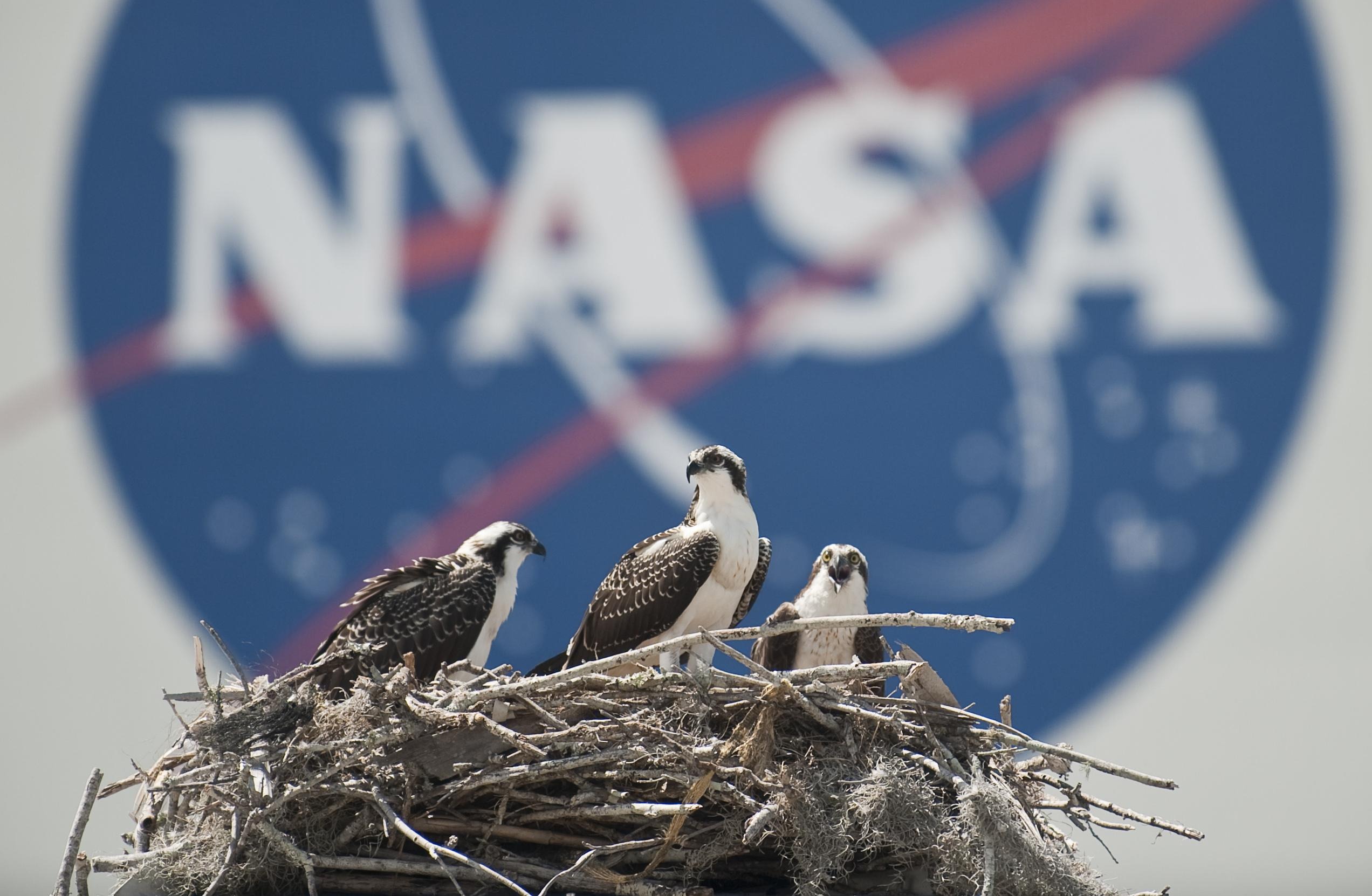 NASA Kennedy Space