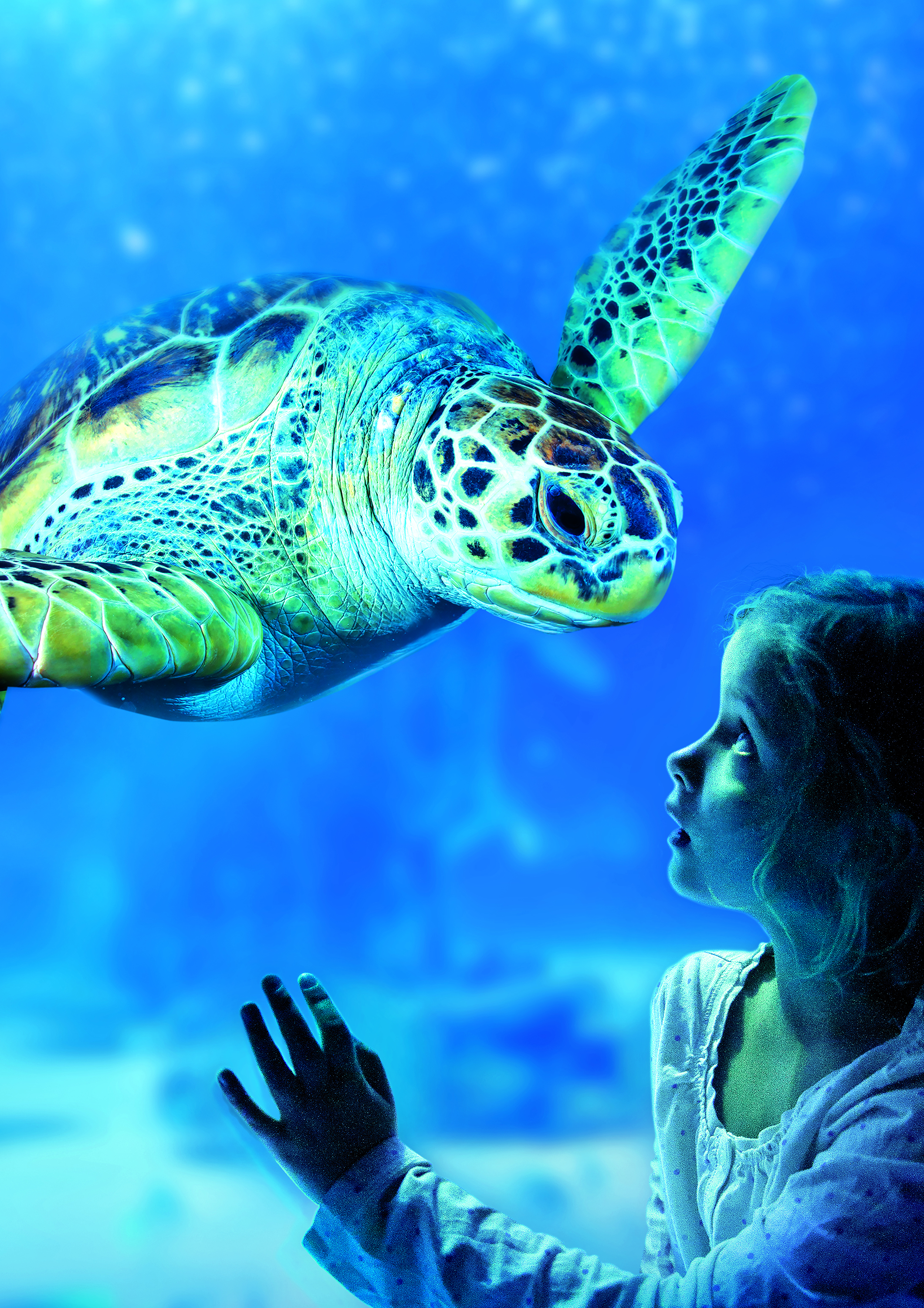 ICON Orlando_SeaLife Aquarium