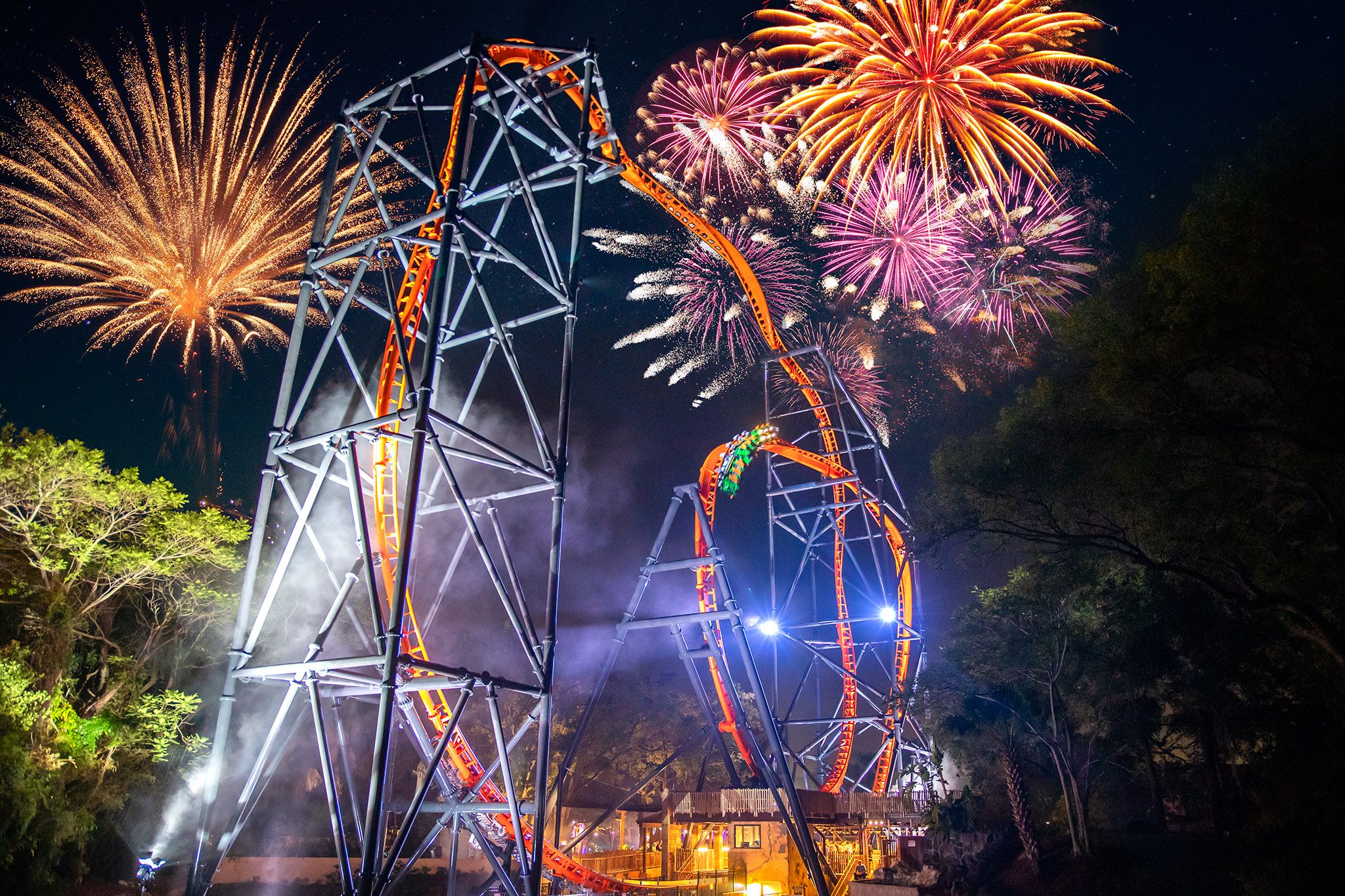 Summer Nights Busch Gardens Tampa