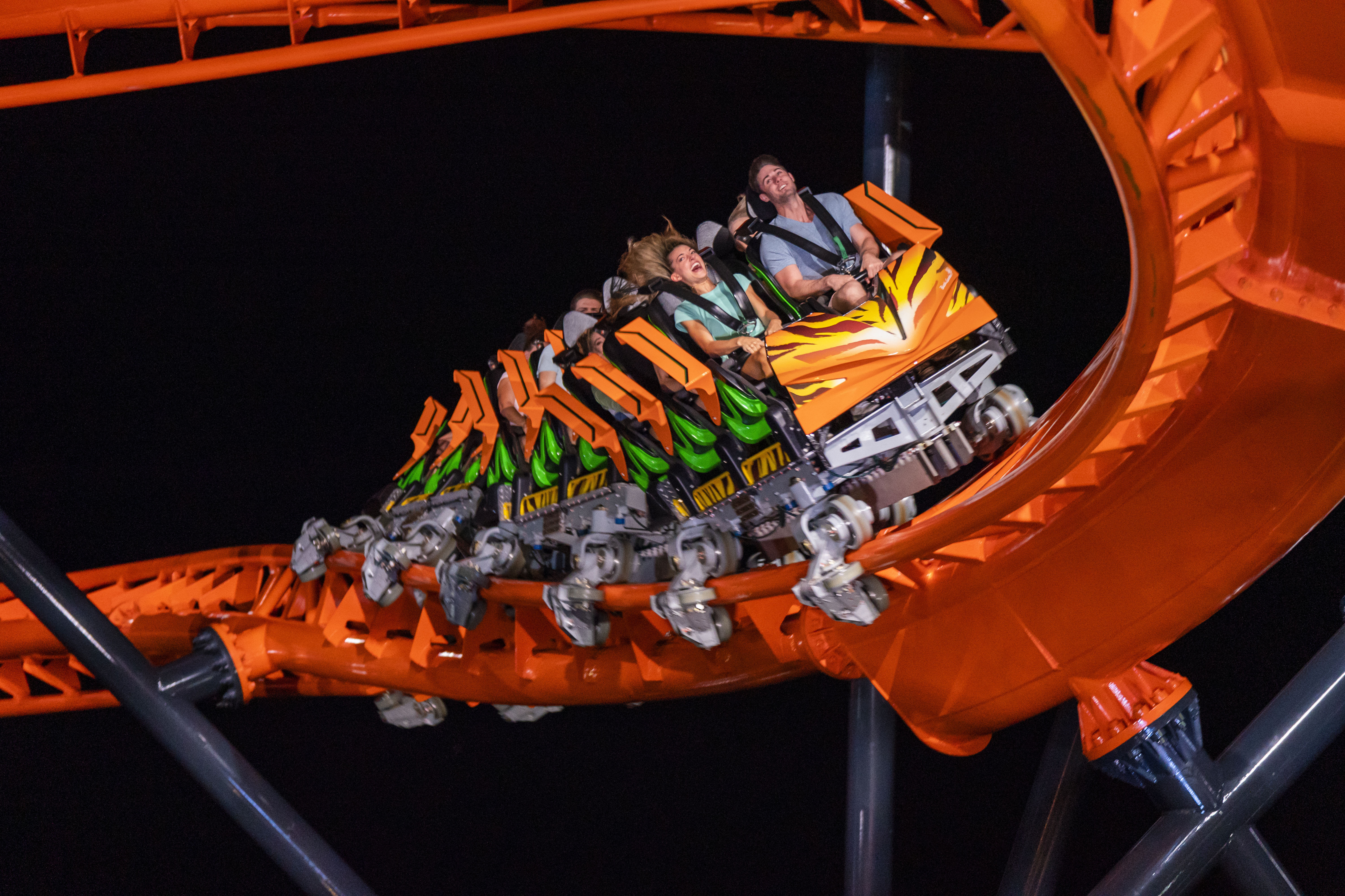 Summer Nights Busch Gardens Tampa