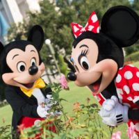 Mickey Minnie Rosas Jardins