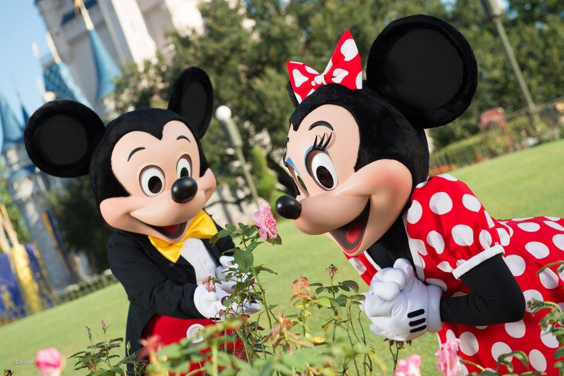 Mickey Minnie Rosas Jardins