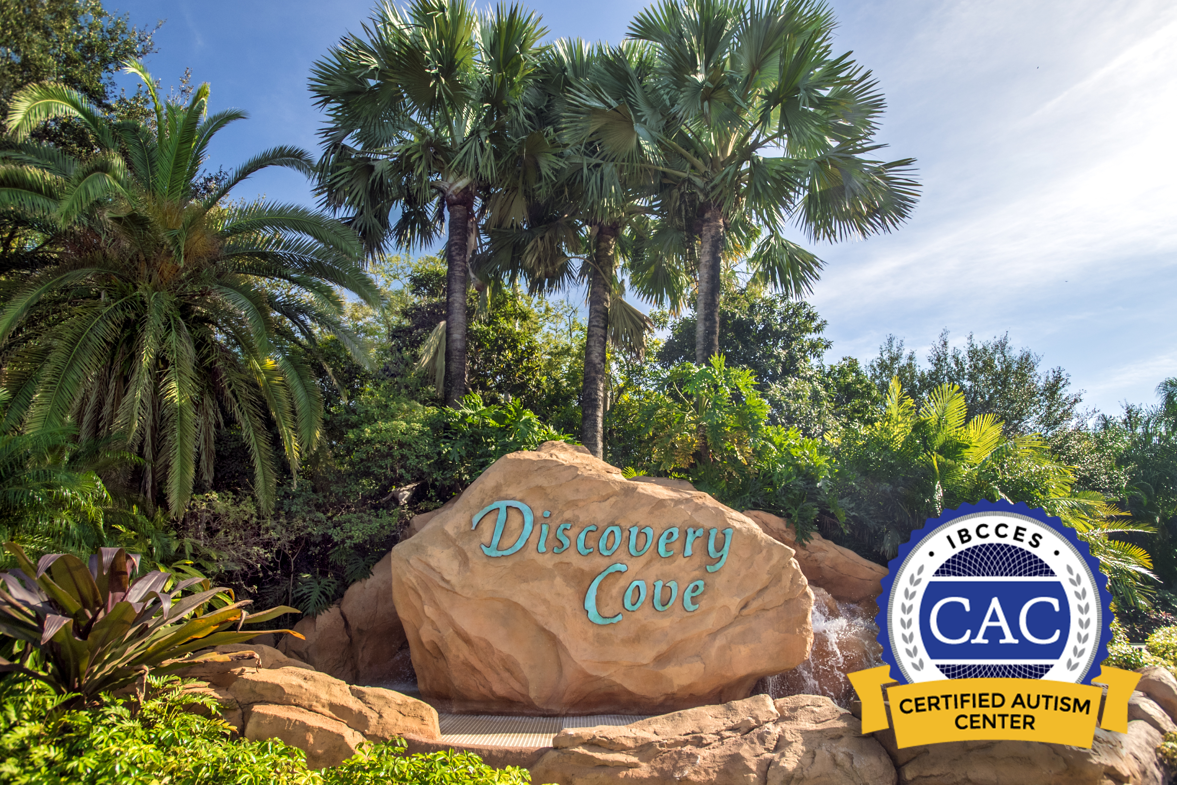 Discovery Cove - Certified Autism Center