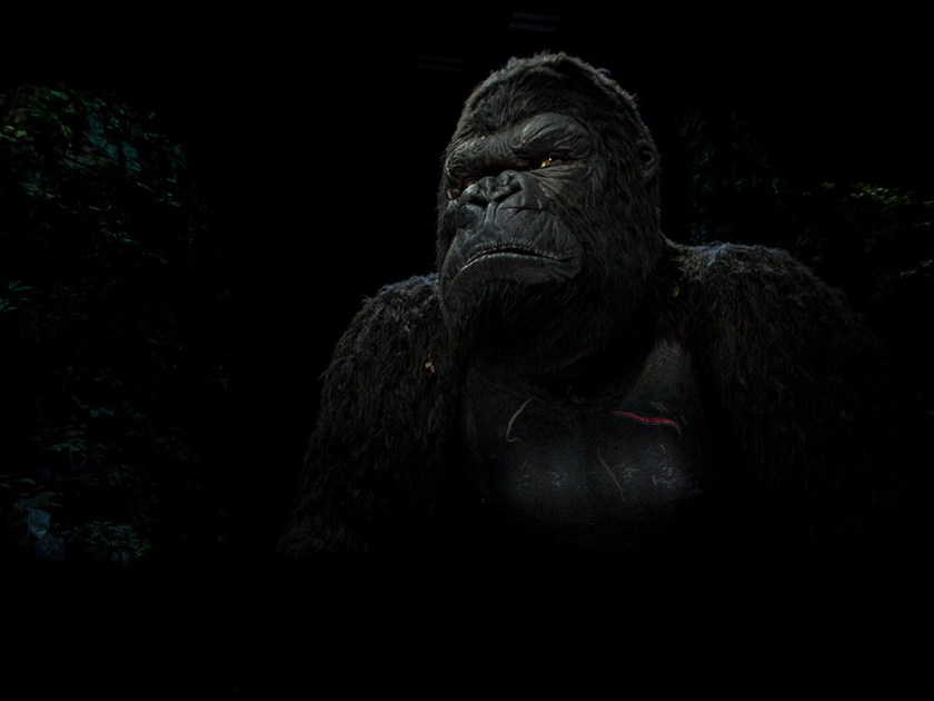 King-Kong-from-Skull-Island-Reign-of-Kong
