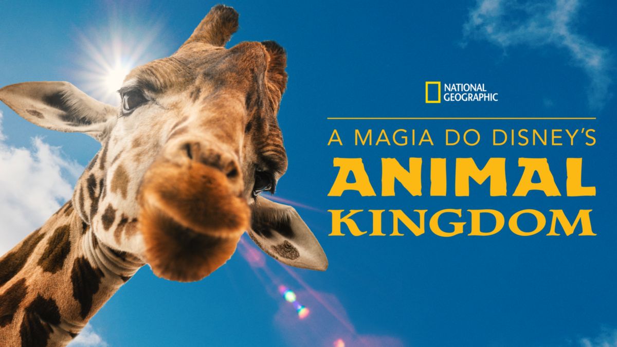 a magia do disneys animal kingdom