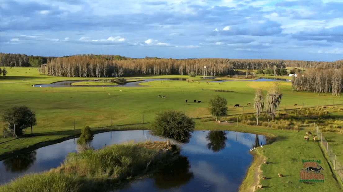 Safari Wilderness Ranch