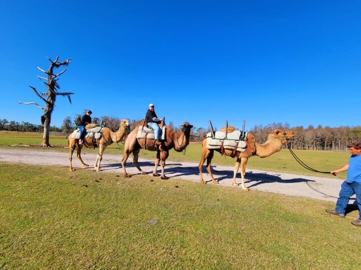 Safari Wilderness Ranch