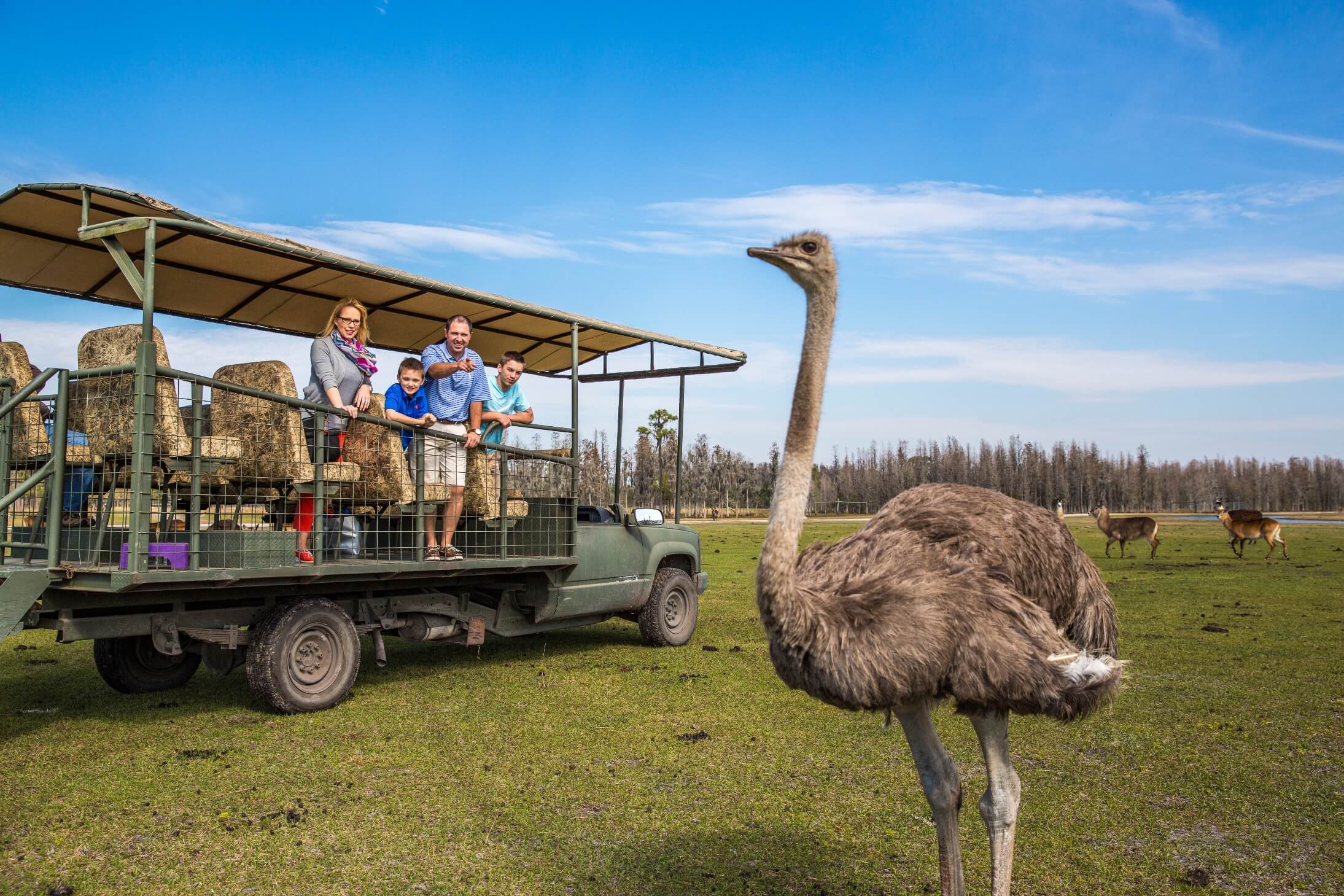 Safari Wilderness Ranch