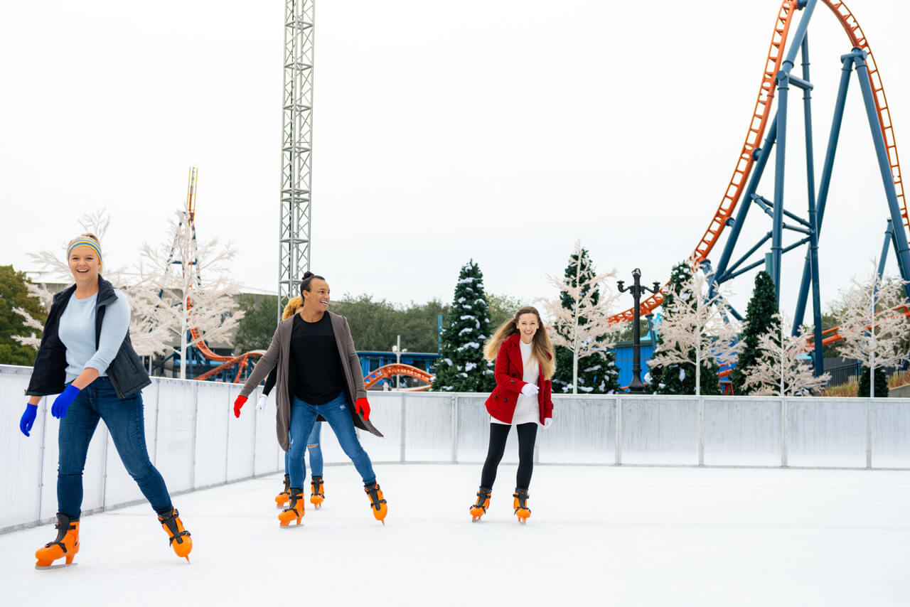 Christmas Celebration Sea World