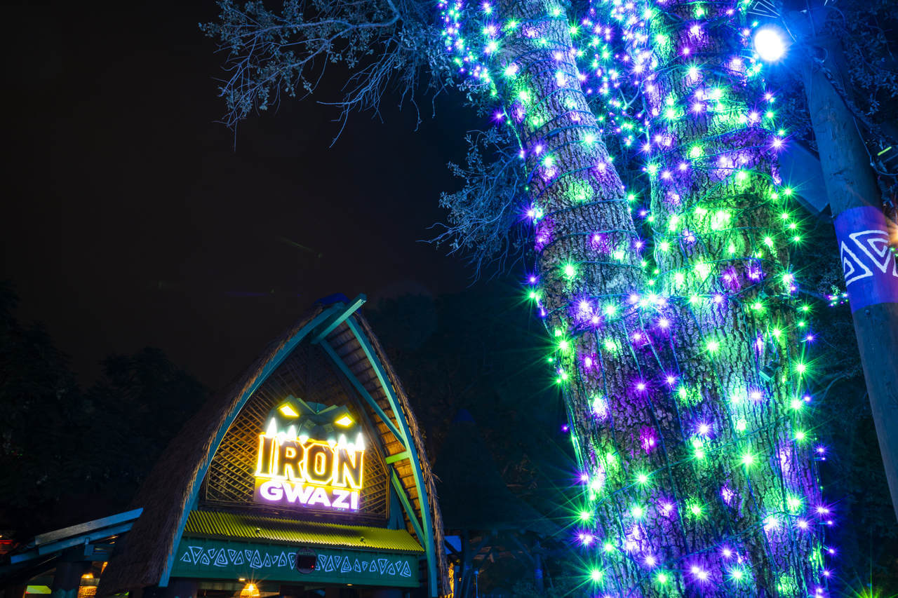 Christmas Town Busch Gardens