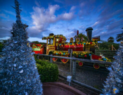 Christmas Town Busch Gardens