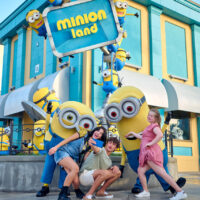 Minion Land