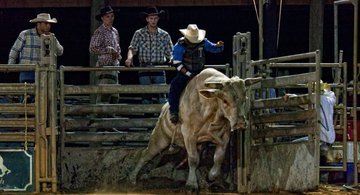 Rodeo-at-Westgate-River-Ranch-Central-Florida