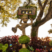 Groot EPCOT