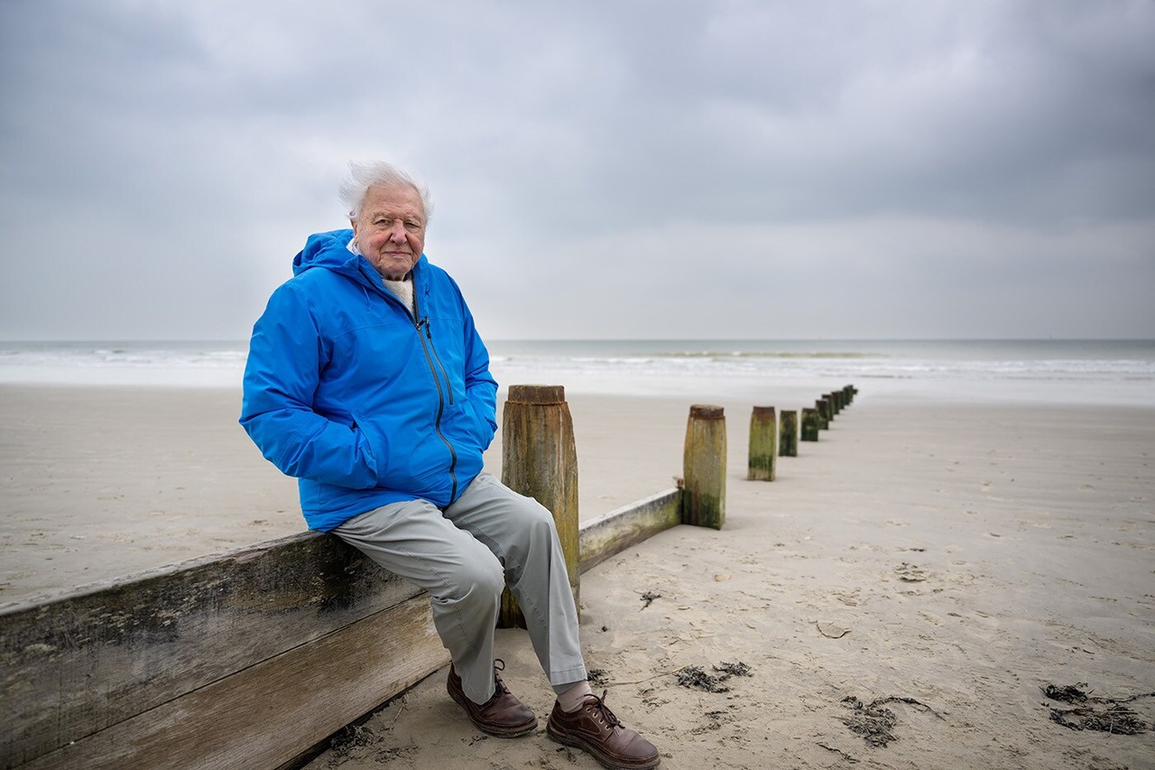 Oceanos com David Attenborough