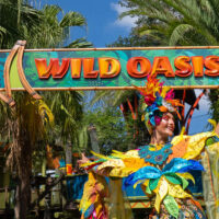 Wild Oasis