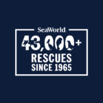 SeaWorld Rescues