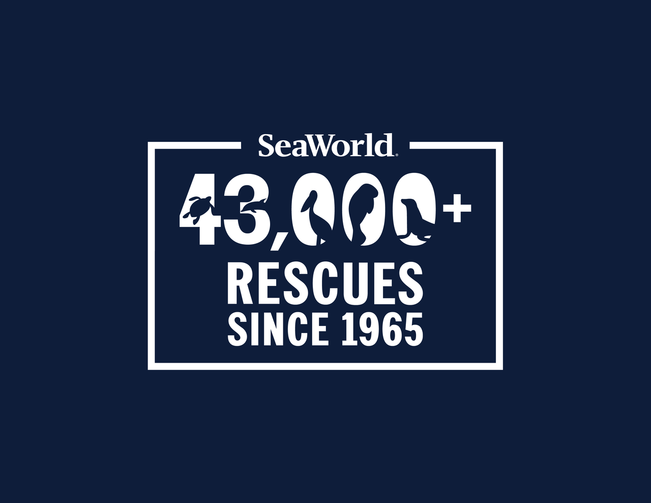 SeaWorld Rescues
