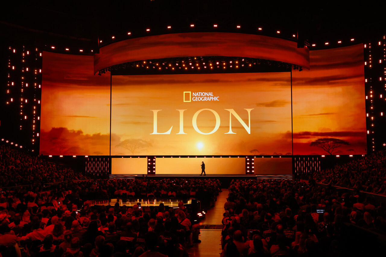 Lion