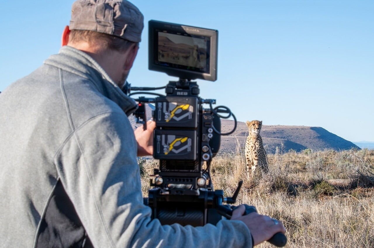 Africa Earth's Wild Home
